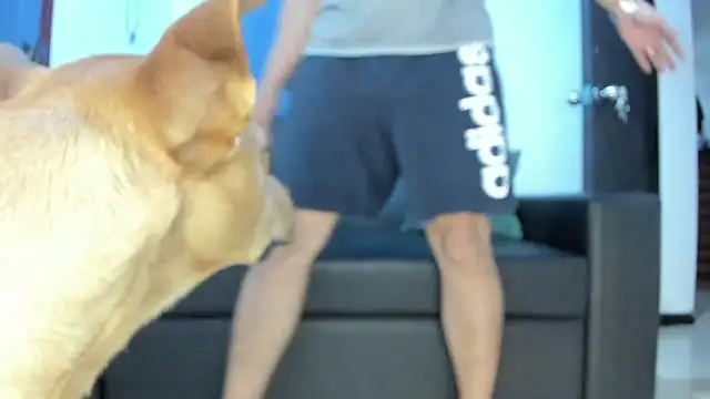 boss of cash online show from 10-18-25, 01:30