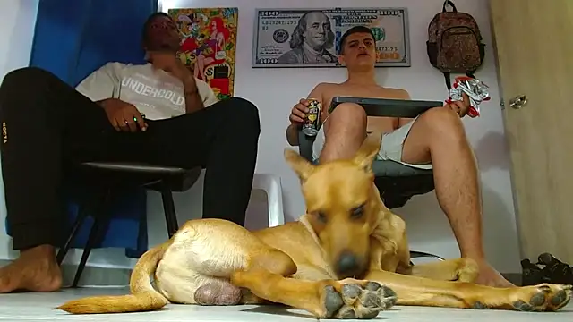 boss of cash online show from 07-14-26, 06:24
