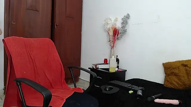 hannaashyel 12 online show from 01-04-25, 06:40