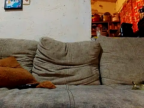 NewBe9D9 online show from 11-23-25, 09:42