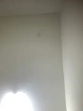 Snapshot of bidex002 chatting on 05-15-26, 11:34 bidex002 online show from 05-15-26, 11:34