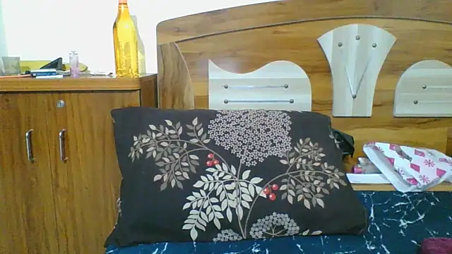 Riya Stream01 online show from 04-04-26, 02:03