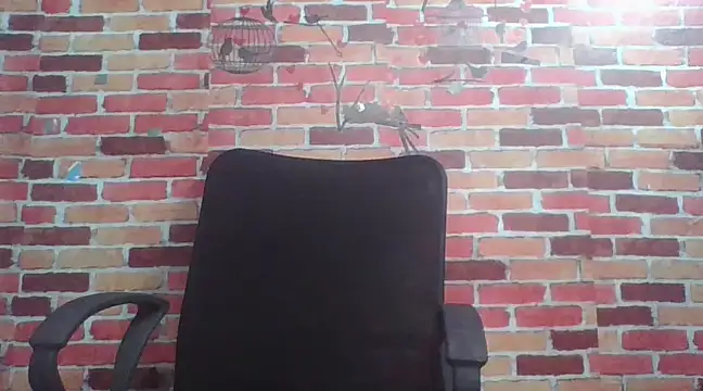 telugu indhu 0001 online show from 12-24-24, 12:44