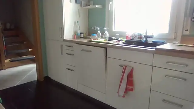 pumel60 online show from 02-06-25, 01:21