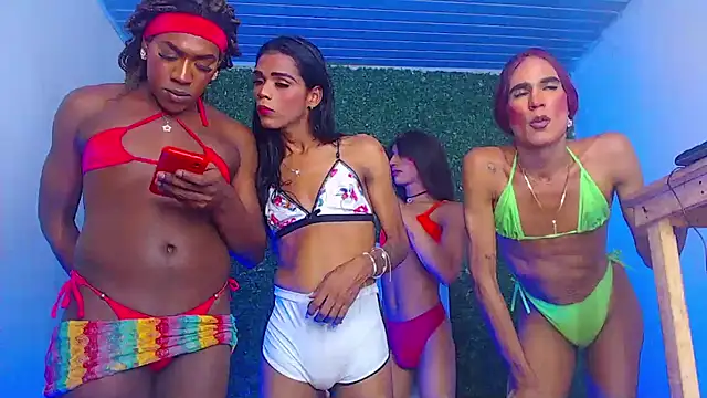 newgroupxxx online show from 11-23-25, 08:41