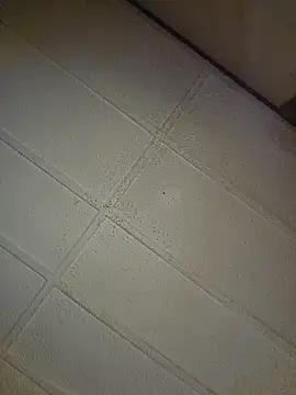 zaneporter46 online show from 10-31-25, 09:05