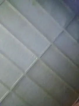 zaneporter46 online show from 02-05-26, 06:12