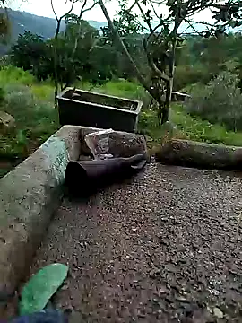 crazysex095 online show from 01-02-25, 08:46