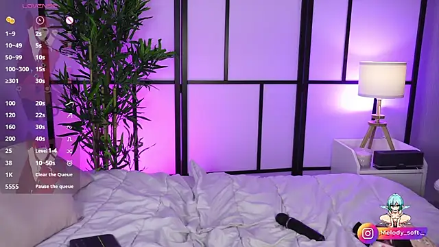 MelodySoft  online show from 01-17-25, 03:23