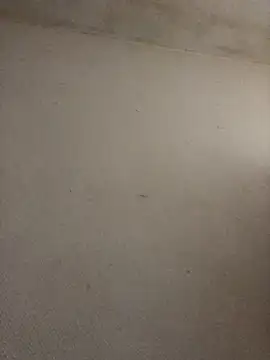 Snapshot of BELLAMORGANE1 chatting on 11-02-25, 09:22 BELLAMORGANE1 online show from 11-02-25, 09:22