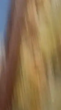 Snapshot of mksharma-mastlund chatting on 01-21-25, 03:48 mksharma-mastlund online show from 01-21-25, 03:48