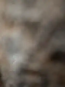 Snapshot of mksharma-mastlund chatting on 01-24-25, 04:05 mksharma-mastlund online show from 01-24-25, 04:05