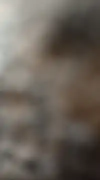 Snapshot of mksharma-mastlund chatting on 01-27-25, 03:47 mksharma-mastlund online show from 01-27-25, 03:47