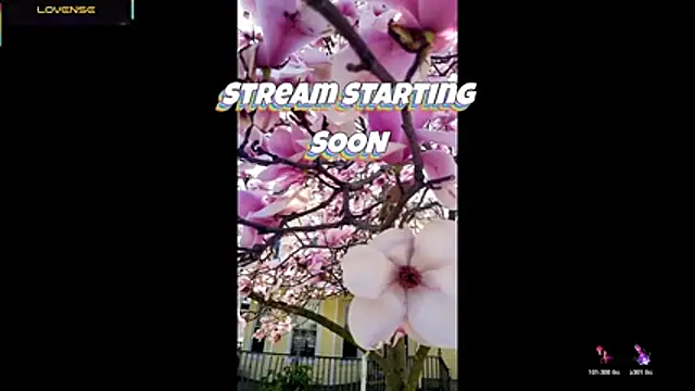 Hackensackneil online show from 07-29-26, 09:24