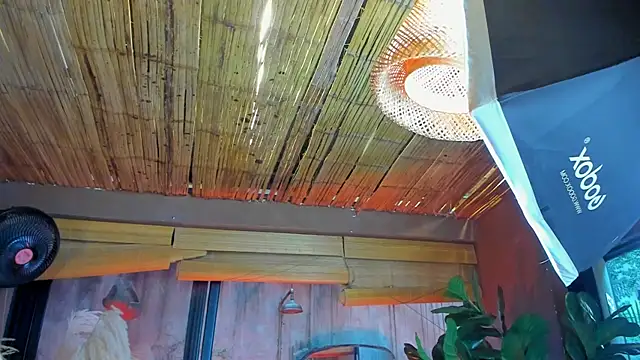 MarcoVitto online show from 11-18-25, 07:29