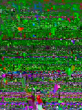 Prolisok473 online show from 01-22-25, 02:35