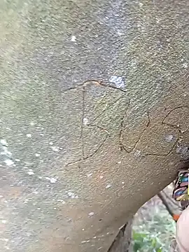 Snapshot of BELLA--26 chatting on 02-02-25, 03:07 BELLA--26 online show from 02-02-25, 03:07