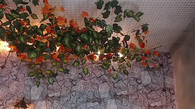 Lancelot Benwick online show from 01-07-25, 01:38