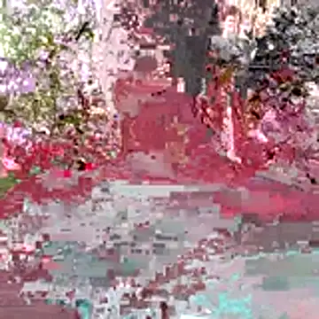 Snapshot of Kaizer1 chatting on 10-26-25, 04:51 Kaizer1 online show from 10-26-25, 04:51