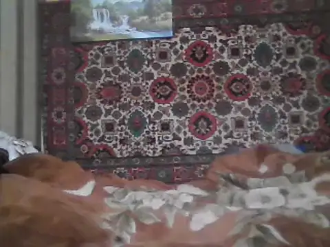 AlferezzSolvajo online show from 02-08-25, 10:51