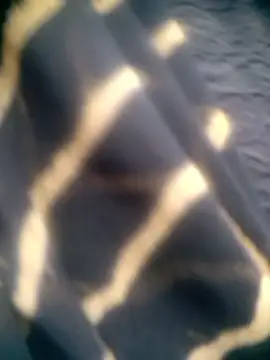 Amaya Bajwa online show from 12-15-25, 04:39