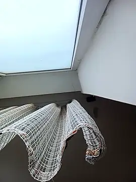 Lauren Amabel online show from 01-09-26, 08:17