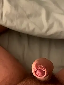 bigcock430 online show from 01-06-26, 02:48