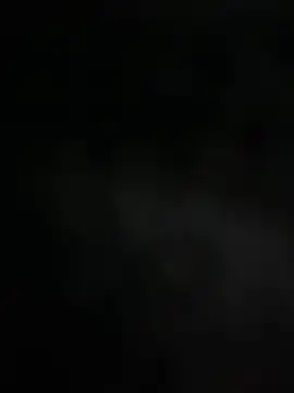 Snapshot of mdnn77 chatting on 02-19-25, 08:33 mdnn77 online show from 02-19-25, 08:33