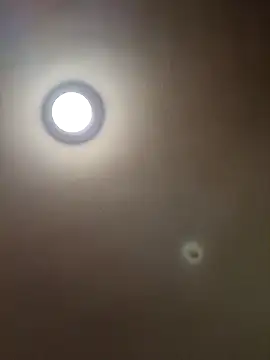 MrDaddyBbSnake online show from 01-28-25, 04:29