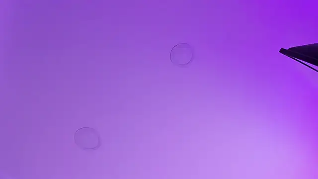 Snapshot of kathy_bakerr chatting on 03-18-26, 01:25 kathy bakerr online show from 03-18-26, 01:25