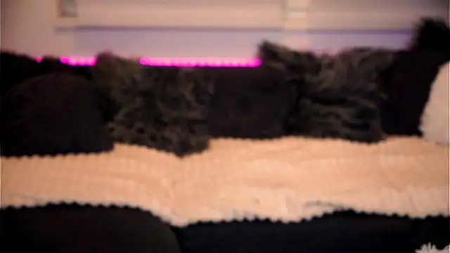 Snapshot of sweet_rapunzell chatting on 02-06-26, 12:59 sweet rapunzell online show from 02-06-26, 12:59