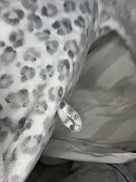 Snapshot of VioletxBlue chatting on 03-28-26, 11:32 VioletxBlue online show from 03-28-26, 11:32