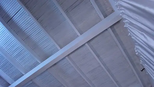 renatarussel online show from 03-22-25, 11:09