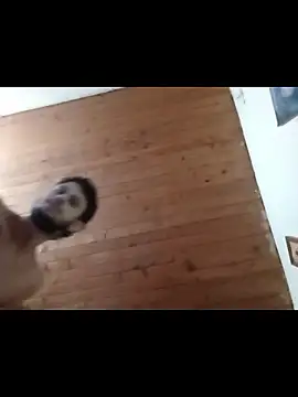 Snapshot of nxus77 chatting on 12-15-25, 06:39 nxus77 online show from 12-15-25, 06:39