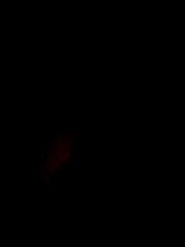 xxxxGuruxxxx online show from 03-10-25, 06:38