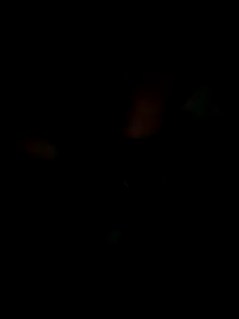 KisSsu online show from 01-09-26, 04:32