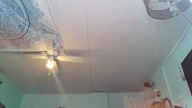 hunybunz69 online show from 02-28-25, 06:31