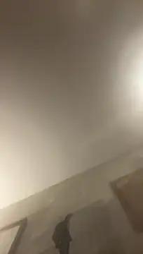 VenusandIppy online show from 05-07-26, 12:38