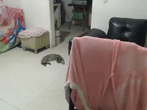 Snapshot of Yohis_Kiut25 chatting on 02-25-25, 02:47 Yohis Kiut25 online show from 02-25-25, 02:47