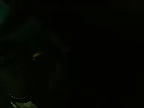 Lliam 2 online show from 01-20-25, 06:31