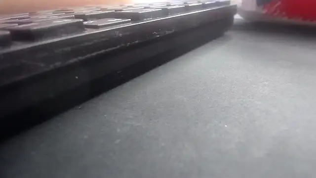 Kitten Cam online show from 04-29-26, 10:38