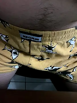 SievingPrep online show from 12-02-25, 04:02