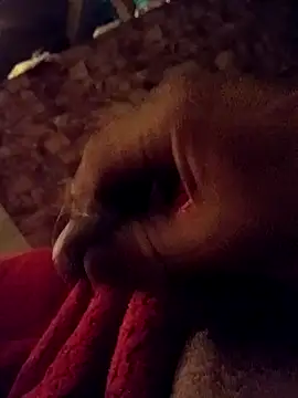 Snapshot of srecet chatting on 02-01-25, 09:43 srecet online show from 02-01-25, 09:43