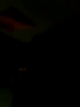 Raj41 online show from 01-15-26, 06:44