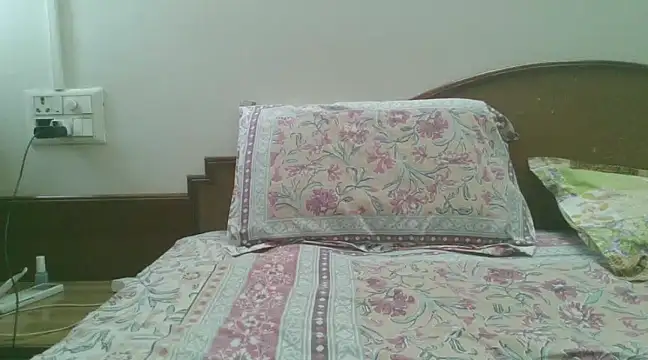 Snapshot of great_nam_par chatting on 01-25-25, 05:29 great nam par online show from 01-25-25, 05:29