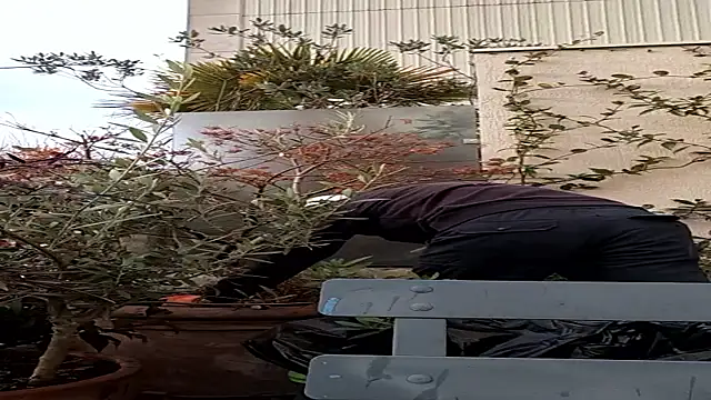 Snapshot of Vyda4 chatting on 11-17-25, 08:31 Vyda4 online show from 11-17-25, 08:31