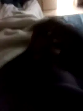 Sbu gold online show from 01-12-26, 07:24