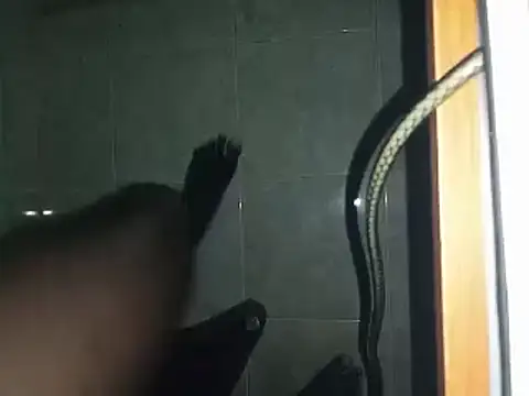 world bigdick1 online show from 03-02-25, 06:48