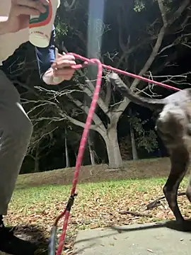 sexyhotstud12 online show from 02-18-25, 04:26