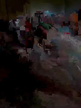 Snapshot of Ariba270 chatting on 11-01-25, 09:55 Ariba270 online show from 11-01-25, 09:55